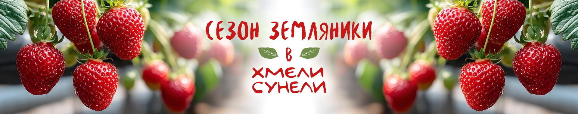 /public/files//banners/image_41.jpg